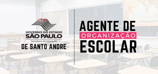 Diretoria de Ensino de Santo André abre processo seletivo para Agente de Organização Escolar – AOE