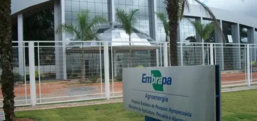 Embrapa anuncia concurso público com mais de 1.000 vagas para nível médio e superior com salários de R$ 11 mil